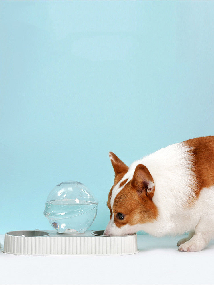 Keep Your Pets Hydrated with the Pet Automatic Plastic Water Feeder Bowl