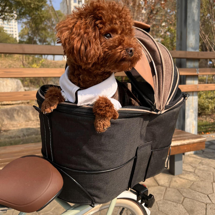 Travel in Style: The Ultimate Pet Foldable Canvas Rear Seat Carrier Bag