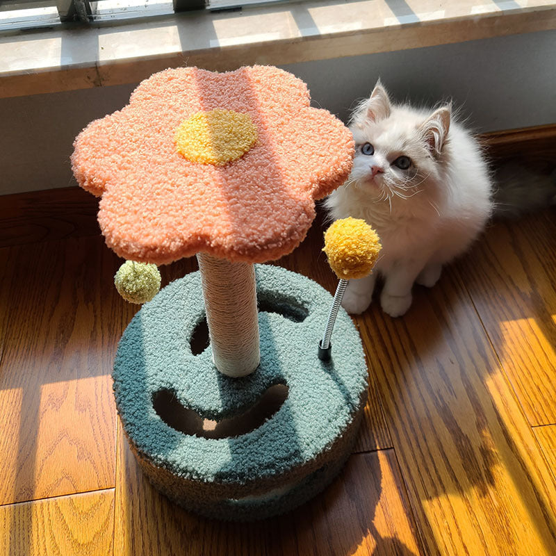 Transform Your Cat's Playtime with Our Interactive Scratching Board!